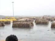 कृषि उपज मंडी में भीगा किसानों का हजारों क्विंटल अनाज