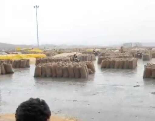 कृषि उपज मंडी में भीगा किसानों का हजारों क्विंटल अनाज