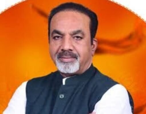 जिला भाजपा संगठन की कमान शेषराव यादव को