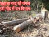 चोरों से लूट : जंगल से चोरी हो रही सागौन लूटने साले – जीजा की जुगलबंदी !