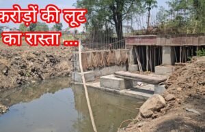 अंधेर नगरी चौपटराजा : खेत में कॉलोनी काटने सरकारी नाले पर बनाया पुल !