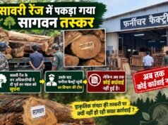 तस्कर का खुलासा : जंगल से सीधे फर्नीचर कारखानों में आ रही सागौन !