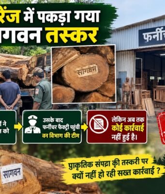 तस्कर का खुलासा : जंगल से सीधे फर्नीचर कारखानों में आ रही सागौन !