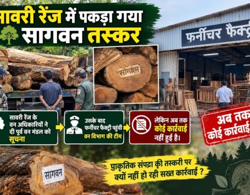 तस्कर का खुलासा : जंगल से सीधे फर्नीचर कारखानों में आ रही सागौन !